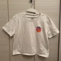 【HOLLISTER】ホリスター クロップド グラフィック Tシャツ XSのサムネイル