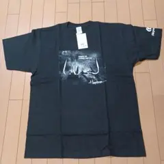 ハヤブサ　Tシャツのサムネイル