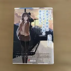 青春ブタ野郎はバニーガール先輩の夢を見ない