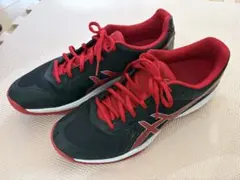 Item thumbnail for item b70dfd1d-fcc5-4f04-b774-6afc77885271