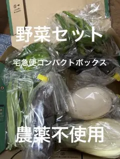 野菜セット①、宅急便コンパクトボックスのサムネイル