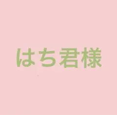 はち君様 リクエスト 2点 まとめ商品