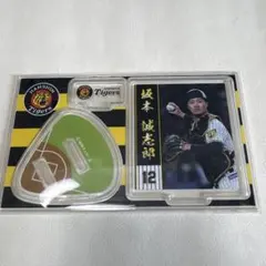 阪神タイガース アクリルスタンド 坂本誠志郎