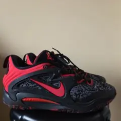 NIKE KD15 美 중고
