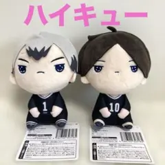 ハイキュー‼︎もちぴこぬいぐるみ⑩（全２種）角名倫太郎　北信介
