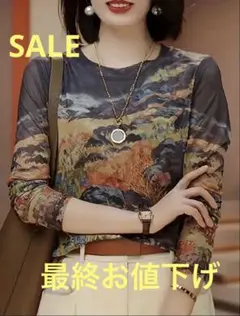 最終お値下げ‼️ 風景画プリント シースルー長袖 トップス 新品