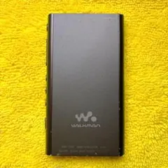 バッテリー良好！ 外観キレイ SONY WALKMAN NW-A55 16GB - メルカリ