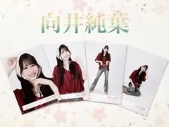 櫻坂46 向井純葉　サマーニット　コンプのサムネイル