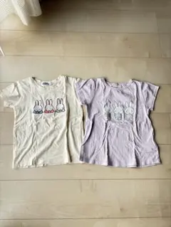 miffy うさぎプリント Tシャツ 120cm 2枚セット
