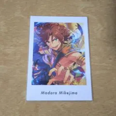 2025年最新】三毛縞 ぱしゃっつの人気アイテム - メルカリ