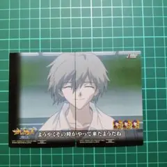 エヴァンゲリオン 渚カヲル カード ×2 NO.023,022
