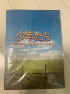 少年たち　パンフレット　SnowMan SixTONES 西畑大吾　向井康二