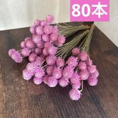 F千日紅　ドライフラワー　長め　茎付き　80本⭐️ピンク　桃色⭐️スワッグ　花材