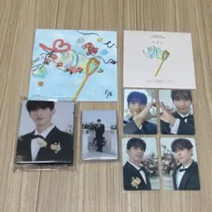 SEVENTEEN fml carat盤 ドギョム DK トレカ セット