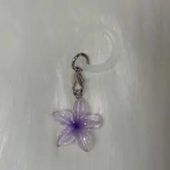 パープル プルメリア めじるしアクセサリー