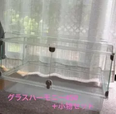 8月1日MEGU様専用 ハムスター飼育セット グラスハーモニー450Nのサムネイル