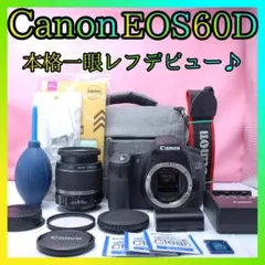 ❤️Canon EOS 60D ❤️ハイアマチュア ✨️ショット数僅か352回✨️新品級 ❤️Canon EOS 60D ❤️ハイアマチュア ✨️ショット数僅か352回