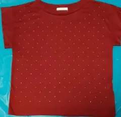 ブランドTシャツロ−リ−ズファ−ム　ブランドＴシャツのサムネイル