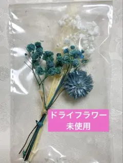 【未使用】ドライフラワー 花材セット ブルー系 ハンドメイド レジン 素材