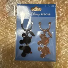 東京ディズニーリゾート キーチェーン サングラス