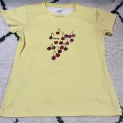 テニスウェア　プリンス　prince レディースTシャツ　Mサイズ