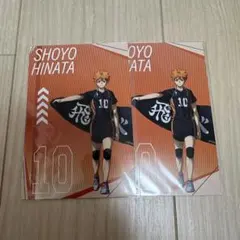 ハイキュープラザ 特典 日向