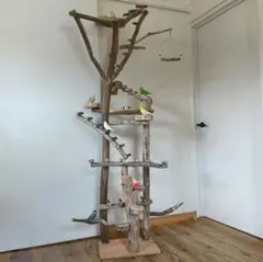 Item thumbnail for item c587690e-c1f4-4523-927f-e63fdb229afc