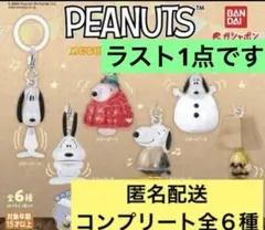 【新品コンプリート】PEANUTS めじるしアクセサリー FUNNY ver.