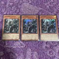 2026年最新】血樹竜姫ドラセレアの人気アイテム - メルカリ