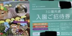 3公園共通入園ご招待券　伊豆シャボテン動物公園 伊豆ぐらんぱる公園他 2名分のサムネイル