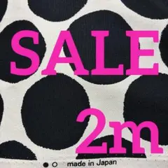 オックス生地　ドット柄