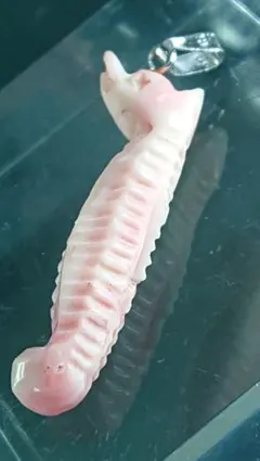 5.ビンテージ【高知産桃色珊瑚竜の落とし子】バチ管シルバー925ネックレストップ