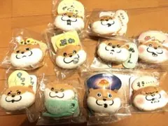 可愛い嘘のカワウソお顔マグネット　10個セット