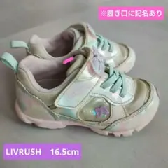 Item thumbnail for item f797d5b9-729e-4187-b02f-15e5d20f42a0