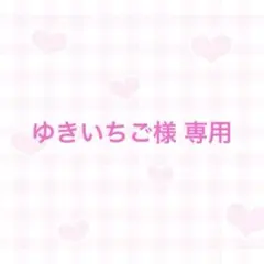 ゆきいちご様 リクエスト 2点 まとめ商品