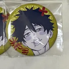 ファントムバスターズ　宍喰野虎落　ファボテリア　缶バッジ 宍喰野虎落 缶バッジ ファントムバスターズ メディコス ファン