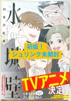 氷の城壁 10巻 初版 - メルカリ