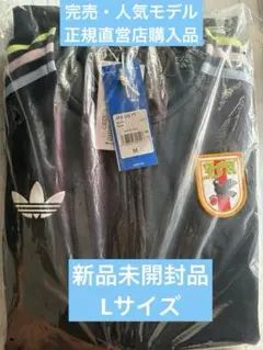 Nike サッカーシャツ 2026フランス代表 エナジートップ Mサイズ 希少