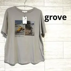 新品　grove グローブ　Tシャツのサムネイル