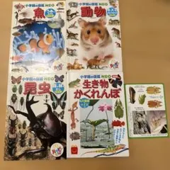 小学校の図鑑 NEO ミニ　ハッピーセット