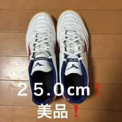 Mizuno MONARCIDA TE 25.0cm ホワイト/レッド/ネイビー
