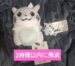 【2点セット】はじまりのピカチュウぬいぐるみ&マスコット