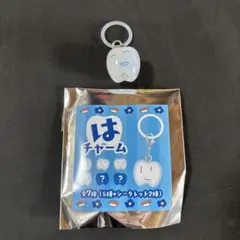 Ado 하짱은 매력 한정 노멀 레어 애드 상품 열쇠 고리