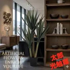 光触媒　人工観葉植物　ウォールグリーン　フェイクグリーン　東北ユッカのサムネイル