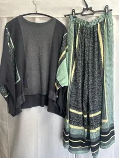 ヒロコビス セットアップ