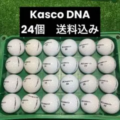 Kasco DNA ロストボール　24個