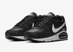 Item thumbnail for item ca277e29-62c1-4616-a6d2-b920f27b52bf