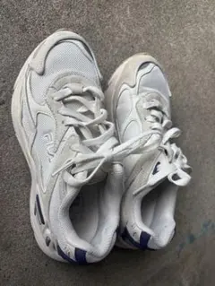 Item thumbnail for item 7d13711a-b90b-4f74-a3cf-d3b5dbdc7870