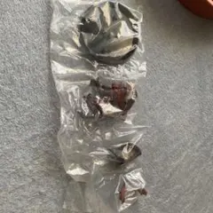 CFB モンスターハンター スタンダードモデル　テオテスカトル 2個セット