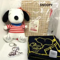 スヌーピー ぬいぐるみ・ポーチ・タオル・キーホルダーの4点セット